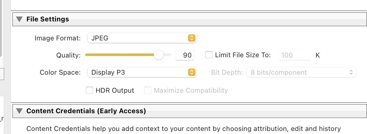 Lightroom File Settings with JPEG selected and HDR Output unchecked