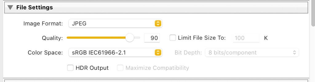 File Settings for SDR JPEG in Lightroom Classic or Camera Raw: JPEG format, sRGB color space, quality 90, HDR Output disabled